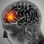 healthcare, health information, health news, Tagnam